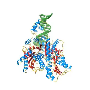 CRYSTAL STRUCTURE OF THE LAC REPRESSOR DIMER BOUND TO OPERATOR AND THE ANTI-INDUCER ONPF