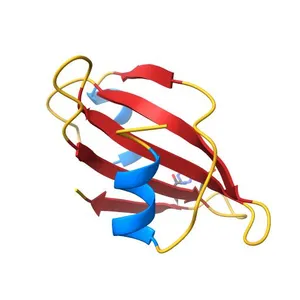 PROTEIN MIMICRY OF DNA FROM CRYSTAL STRUCTURES OF THE URACIL GLYCOSYLASE INHIBITOR PROTEIN AND ITS COMPLEX WITH ESCHERICHIA COLI URACIL-DNA GLYCOSYLASE
