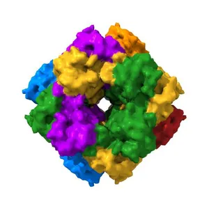 ACTIVATED SPINACH RUBISCO IN COMPLEX WITH ITS SUBSTRATE RIBULOSE-1,5-BISPHOSPHATE AND CALCIUM