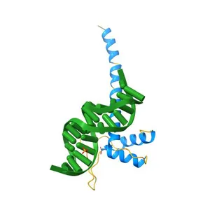 Crystal Structure of Transcription Factor TEAD4 in Complex with M-CAT DNA