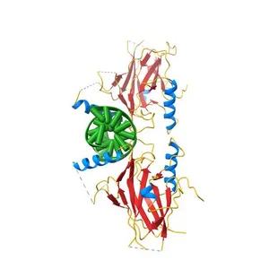 Structural Basis of Gene Regulation by the Grainyhead Transcription Factor Superfamily
