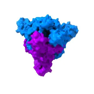 MERS-CoV complex with human neutralizing LCA60 antibody Fab fragment (state 1)