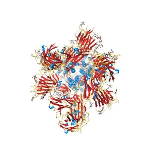 SARS-CoV complex with human neutralizing S230 antibody Fab fragment (state 2)