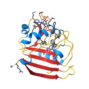 DIHYDROFOLATE REDUCTASE (E.C.1.5.1.3) COMPLEXED WITH WITH FOLATE AND NICOTINAMIDE ADENINE DINUCLEOTIDE PHOSPHATE (OXIDIZED FORM)