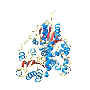 Crystal structure of UDP-glucose: anthocyanidin 3-O-glucosyltransferase in complex with delphinidin