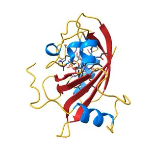 2.0 Angstrom Crystal Structure of the Fungal Blue-Light Photoreceptor Vivid