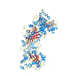 Structure of human 5,10-methylenetetrahydrofolate reductase (MTHFR)