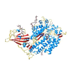 Structure of SARS-CoV-2 chimeric receptor-binding domain complexed with its receptor human ACE2