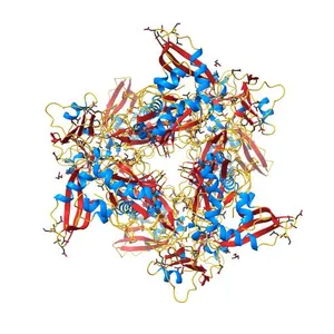 Crystal Structure of NSP15 Endoribonuclease from SARS CoV-2.