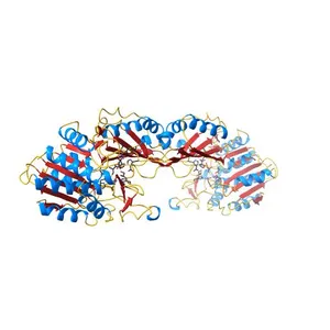 Crystal Structure of succinyl-diaminopimelate desuccinylase from Neisseria meningitidis MC58 in complex with the Inhibitor Captopril