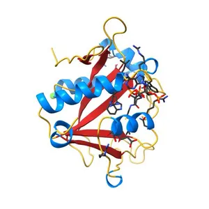Structure of a GNAT superfamily acetyltransferase PA3944 in complex with CoA