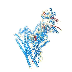 Structure of human BAF Base module