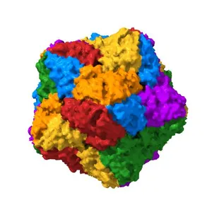 Near-atomic resolution structure of a plant geminivirus determined by electron cryo-microscopy.