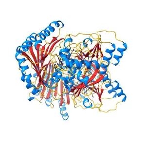 The crystal structure of EncM