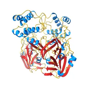 The crystal structure of COVID-19 main protease in apo form