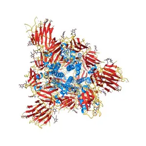 SARS-CoV-2 spike ectodomain structure (open state)