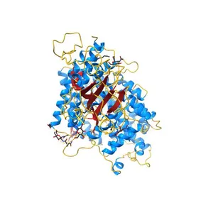Structure of novel coronavirus spike receptor-binding domain complexed with its receptor ACE2