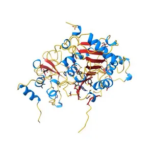 1.80 Angstrom Resolution Crystal Structure of NSP16 - NSP10 Complex from SARS-CoV-2