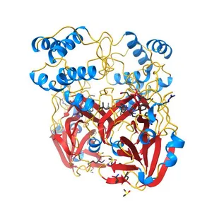 PanDDA analysis group deposition -- Crystal Structure of SARS-CoV-2 main protease in complex with Z44592329