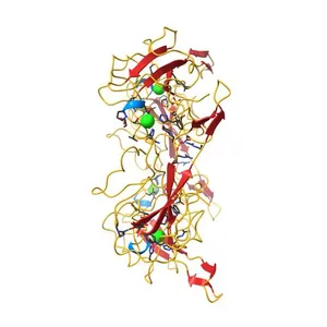 Crystal structure of RNA binding domain of nucleocapsid phosphoprotein from SARS coronavirus 2