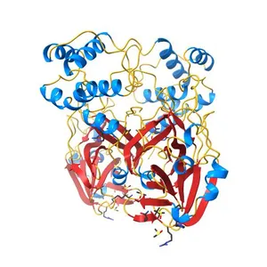 SARS-CoV-2 main protease with unliganded active site (2019-nCoV, coronavirus disease 2019, COVID-19)