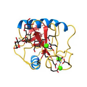 Crystal Structure of DC-SIGN carbohydrate recognition domain complexed with Man4
