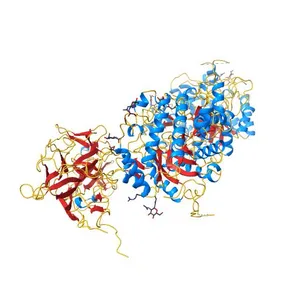 Crystal Structure of a 1:1:1 FGF23-FGFR1c-aKlotho Ternary Complex