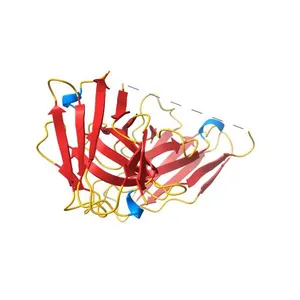 Crystal structure of single chain variable fragment (scFv45).
