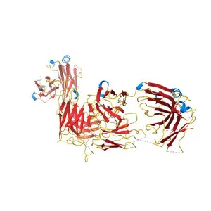 Crystal Structure of the 2F5 Fab'-3H6 Fab Complex