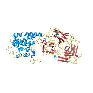 Crystal structure of the human beta2 adrenoceptor