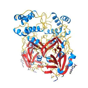 PanDDA analysis group deposition -- Crystal Structure of SARS-CoV-2 main protease in complex with Z33545544
