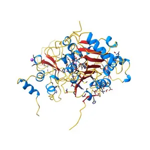 1.95 Angstrom Resolution Crystal Structure of NSP10 - NSP16 Complex from SARS-CoV-2