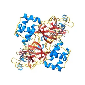 Structure of COVID-19 main protease bound to potent broad-spectrum non-covalent inhibitor X77