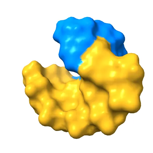 X-Ray structure of r[CGCG(5-fluoro)CG]2 — Фото 3 из 11