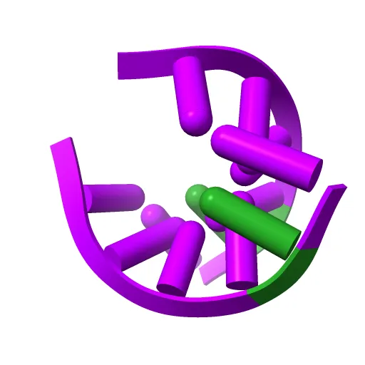 X-Ray structure of r[CGCG(5-fluoro)CG]2 — Фото 6 из 11