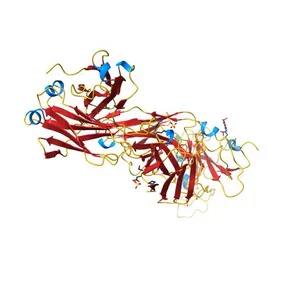 Crystal structure of SARS-CoV-2 receptor binding domain in complex with human antibody CR3022