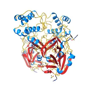 PanDDA analysis group deposition -- Crystal Structure of SARS-CoV-2 main protease in complex with Z271004858
