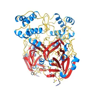 PanDDA analysis group deposition -- Crystal Structure of SARS-CoV-2 main protease in complex with Z1741982125