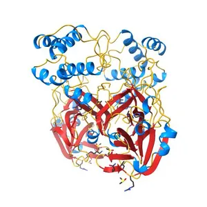 PanDDA analysis group deposition -- Crystal Structure of SARS-CoV-2 main protease in complex with Z1741969146
