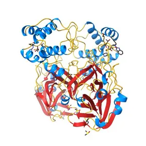 PanDDA analysis group deposition -- Crystal Structure of SARS-CoV-2 main protease in complex with Z1587220559