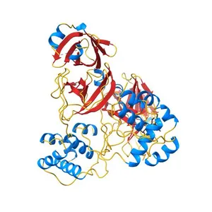 X-Ray Crystal Structure of the SARS Coronavirus Main Protease