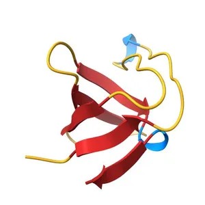 Crystal structure of the second SH3 domain of STAC3 (309-364)