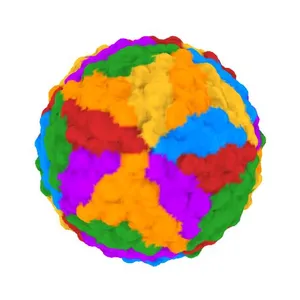 CryoEM structure of Dengue virus