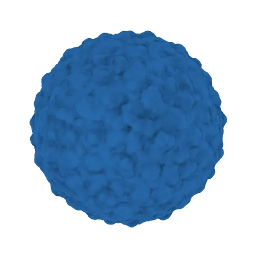 CryoEM structure of Dengue virus — Image 3 of 3