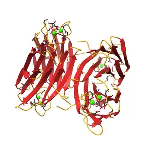 Pseudomonas aeruginosa lectin II (PA-IIL) together with fucose