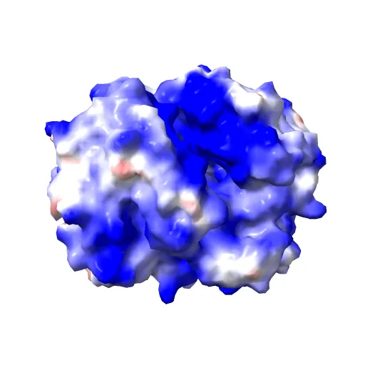 THE HIGH RESOLUTION CRYSTAL STRUCTURE OF DEOXYHEMOGLOBIN S — Image 2 of 13