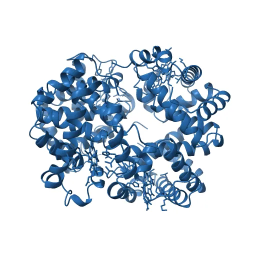 THE HIGH RESOLUTION CRYSTAL STRUCTURE OF DEOXYHEMOGLOBIN S — Image 3 of 13