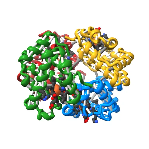 THE HIGH RESOLUTION CRYSTAL STRUCTURE OF DEOXYHEMOGLOBIN S — Image 4 of 13