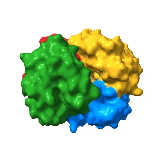 THE HIGH RESOLUTION CRYSTAL STRUCTURE OF DEOXYHEMOGLOBIN S — Image 5 of 13