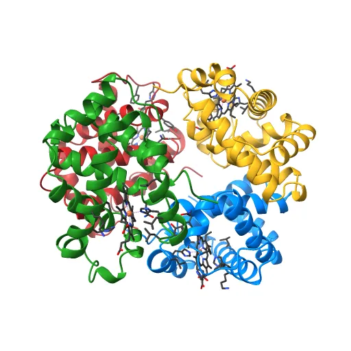 THE HIGH RESOLUTION CRYSTAL STRUCTURE OF DEOXYHEMOGLOBIN S — Image 6 of 13